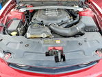 Ford Mustang 2011