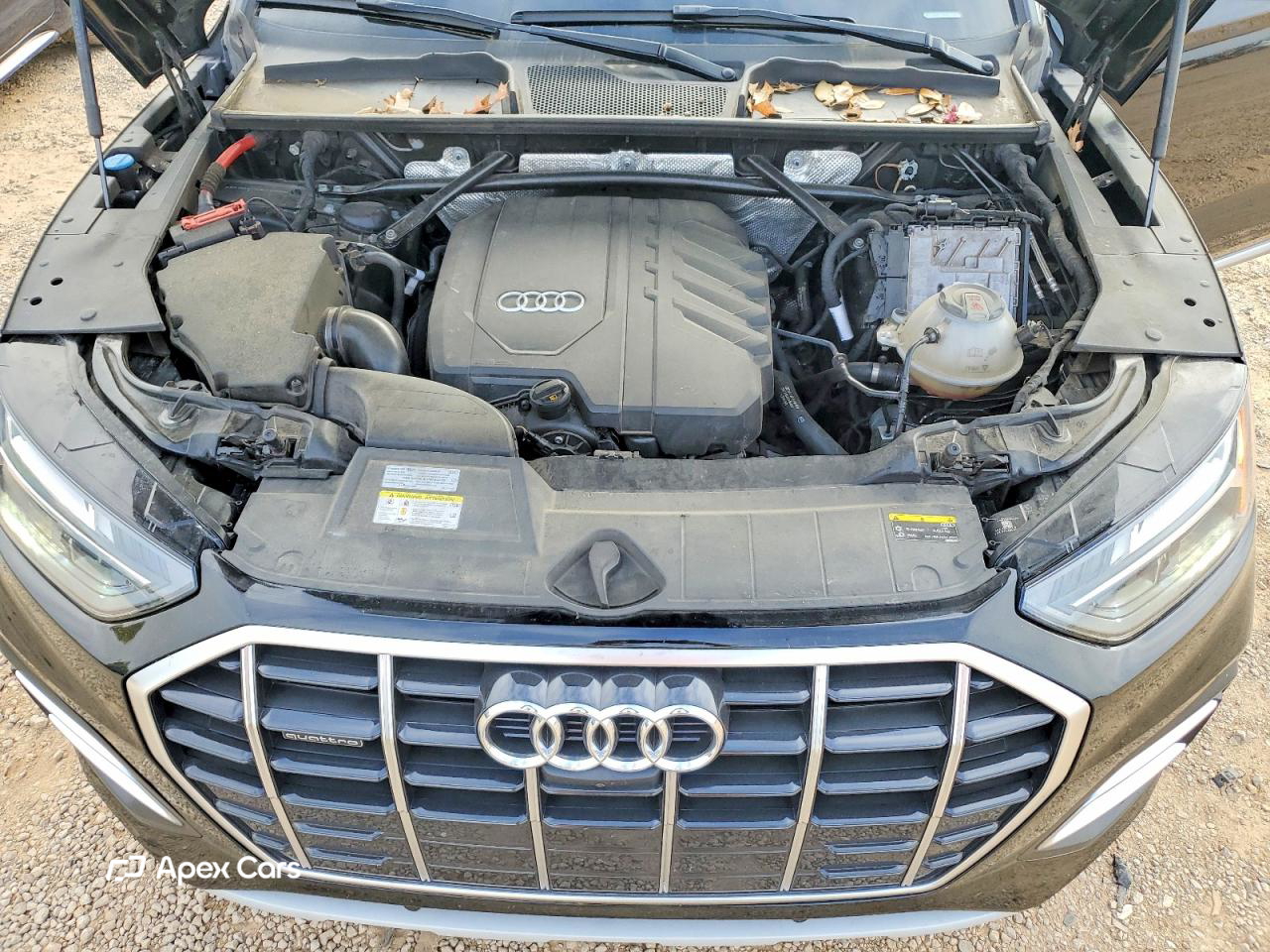 Audi Q5 2021