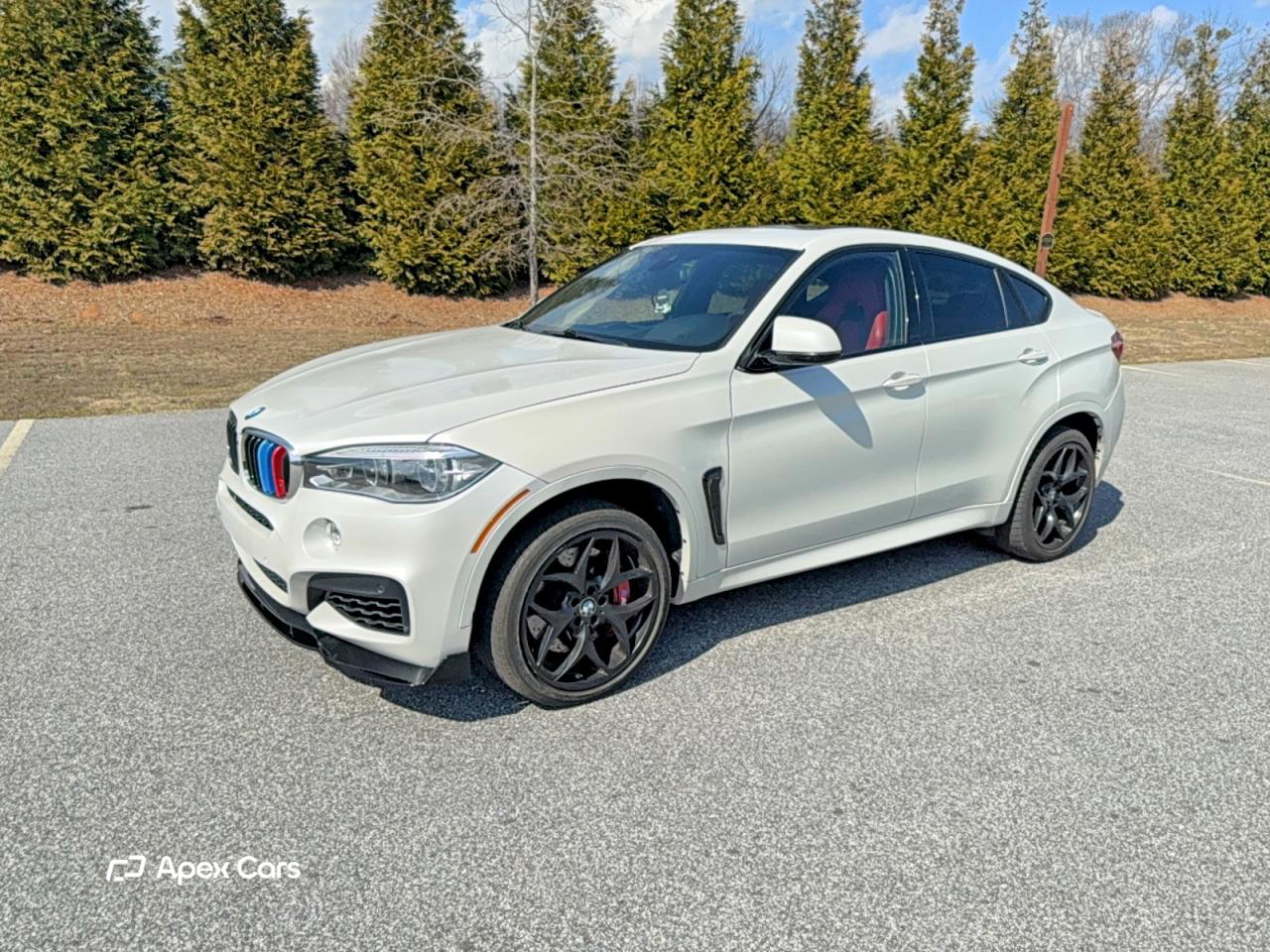 BMW X6 2017
