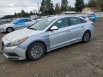 Hyundai  2016