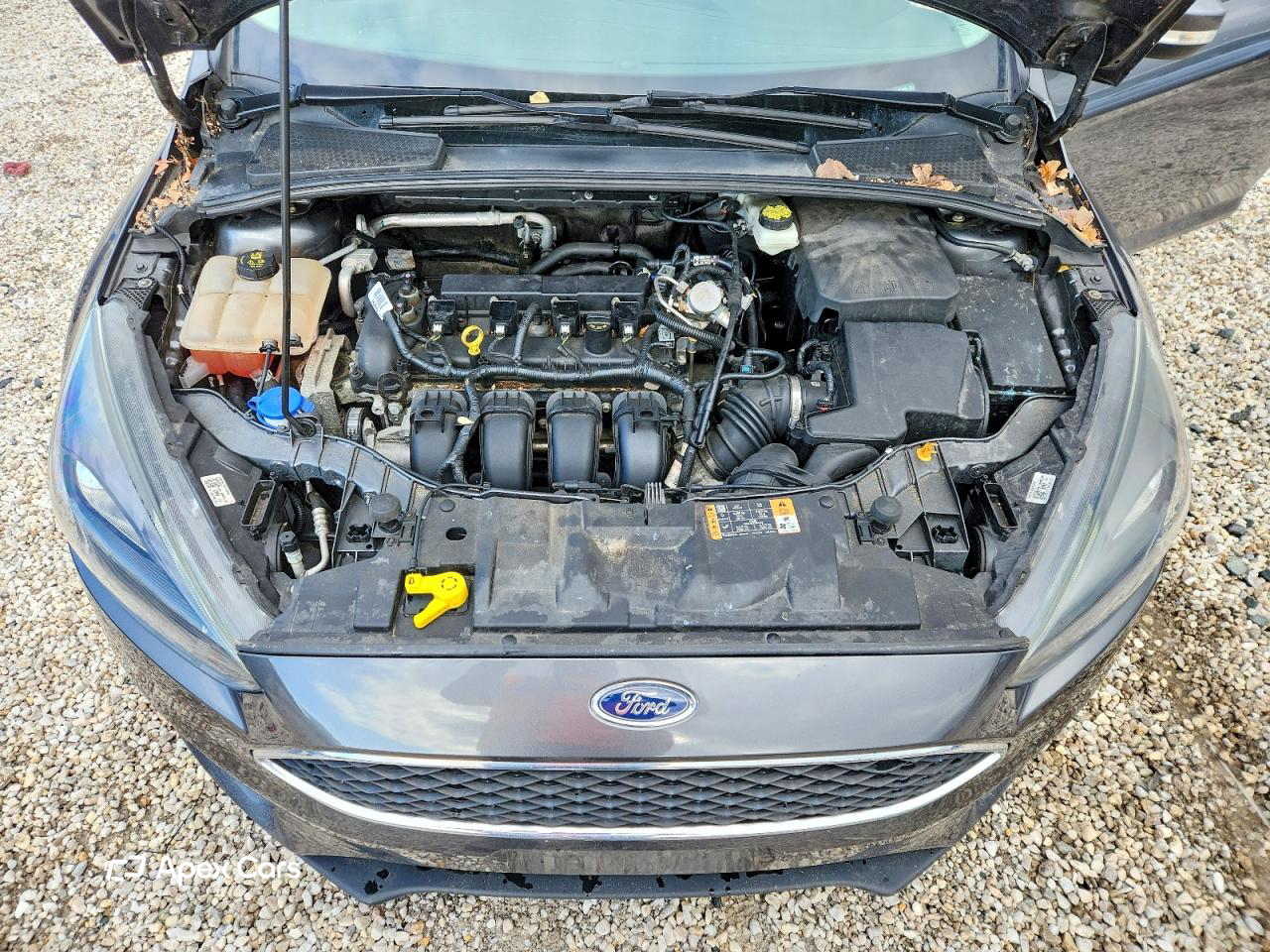 Ford Focus 2017