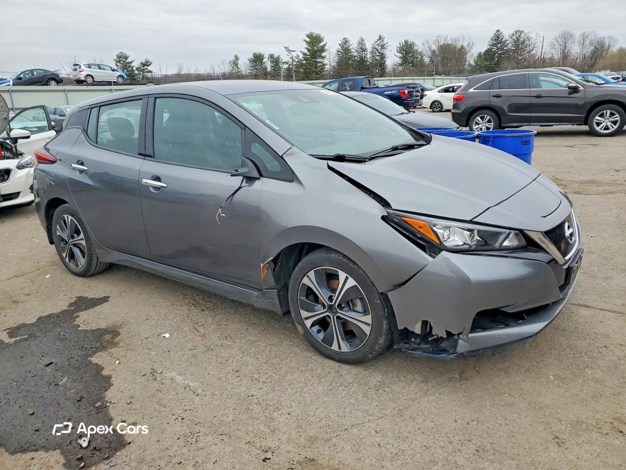 Nissan Leaf 2020