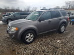 Ford Escape 2009