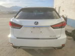 Lexus RX 2021