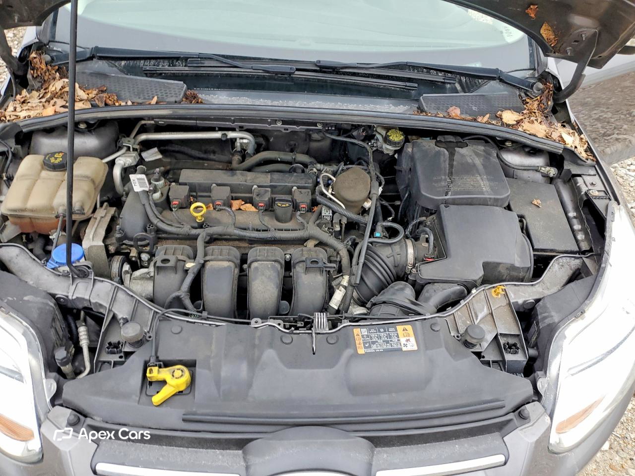 Ford Focus 2014