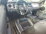 Ford Mustang 2013