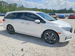 Honda Odyssey 2024