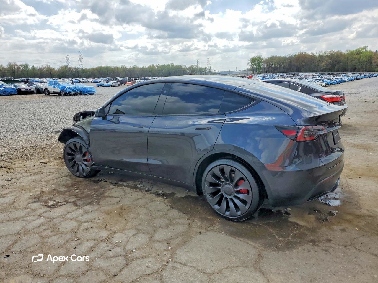 Tesla Model Y 2025
