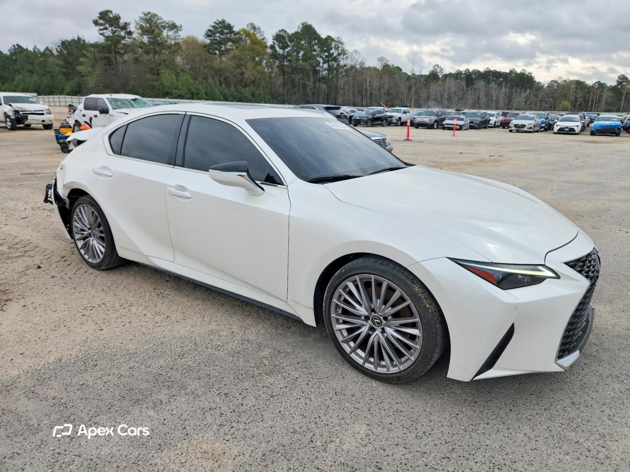 Lexus IS 2022