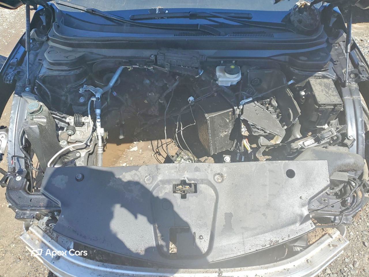Acura RDX 2024