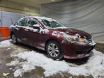 Honda Accord 2013