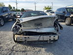 Ford Thunderbird 2004