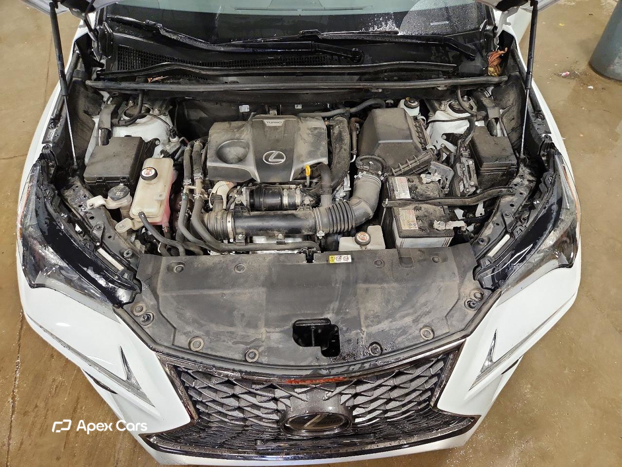 Lexus NX 2020