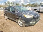 Ford Escape 2013