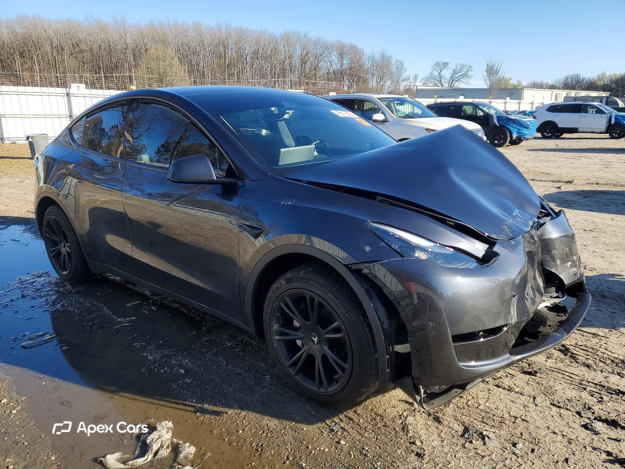 Tesla Model Y 2025
