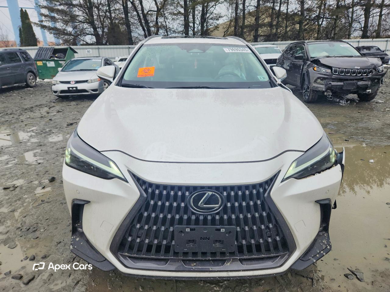Lexus NX 2025