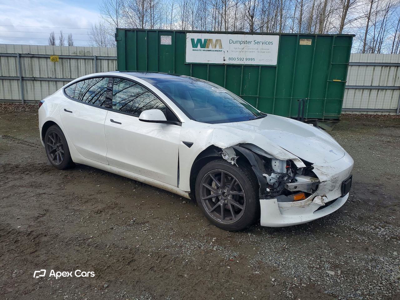 Tesla Model 3 2023