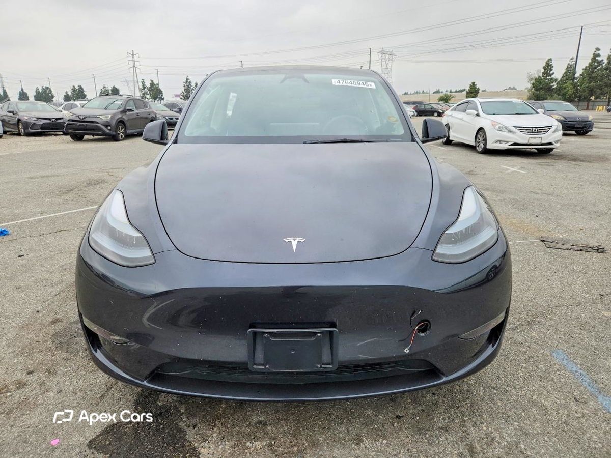 Tesla Model Y 2025