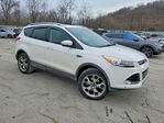 Ford Escape 2013