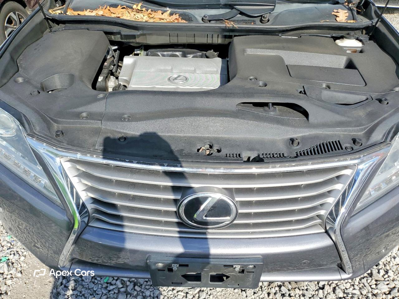 Lexus RX 2013