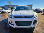 Ford Escape 2016