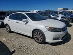 Honda Accord 2013