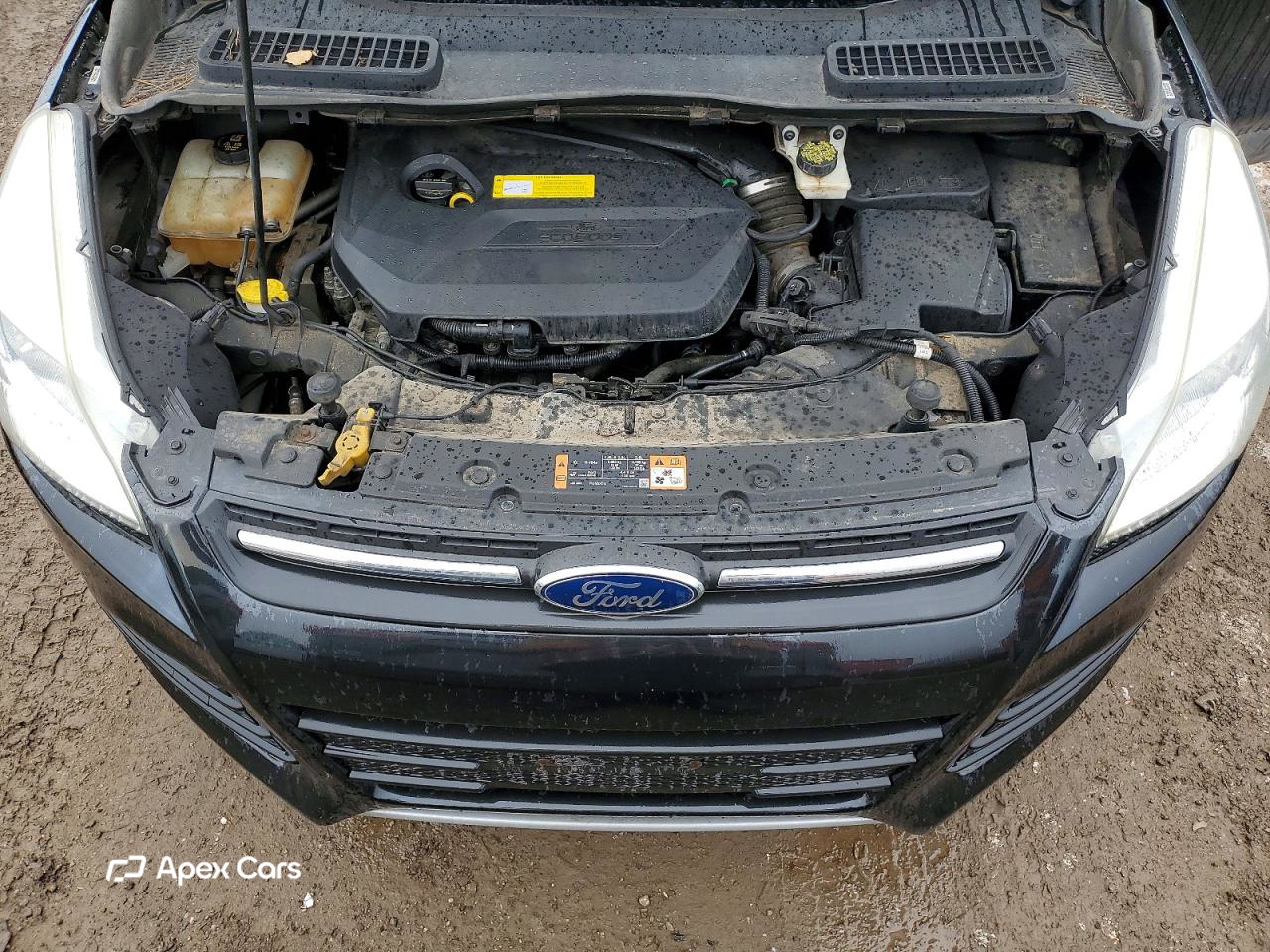 Ford Escape 2015