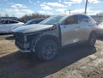 Lexus NX 2022