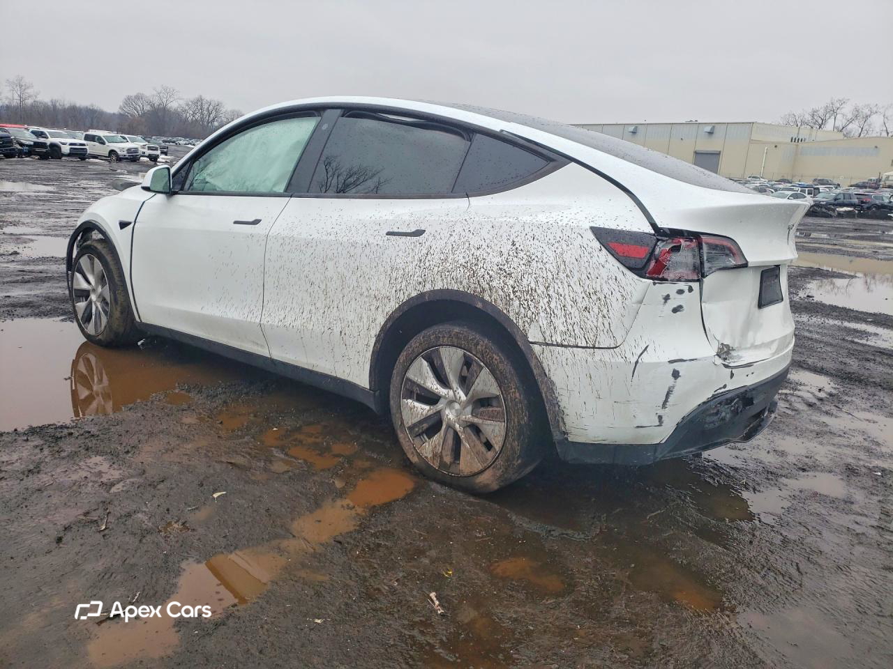 Tesla Model Y 2023