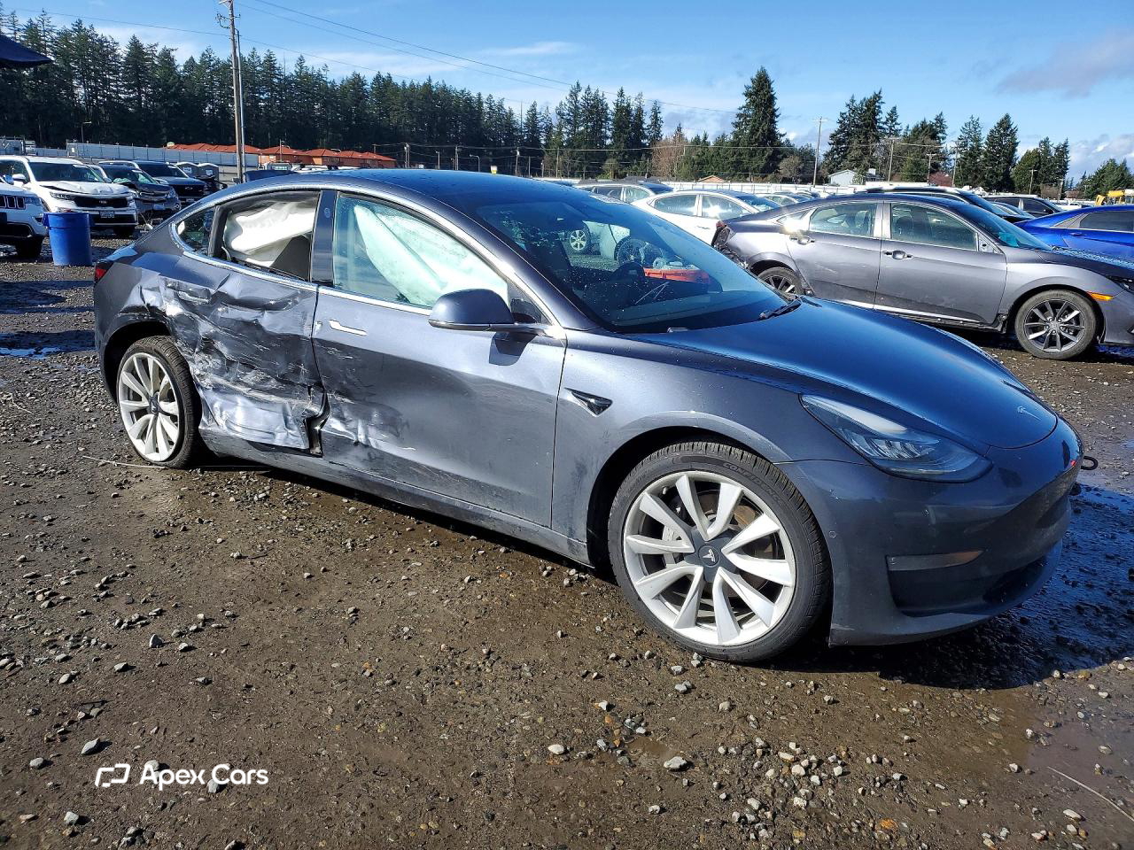 Tesla Model 3 2018