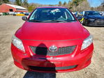 Toyota Corolla 2010
