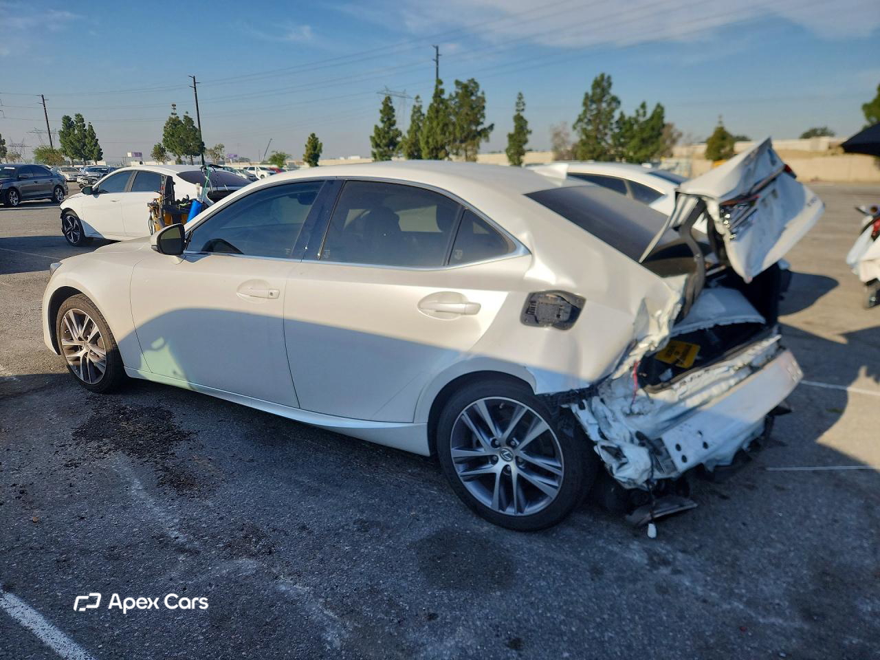 Lexus IS 2019