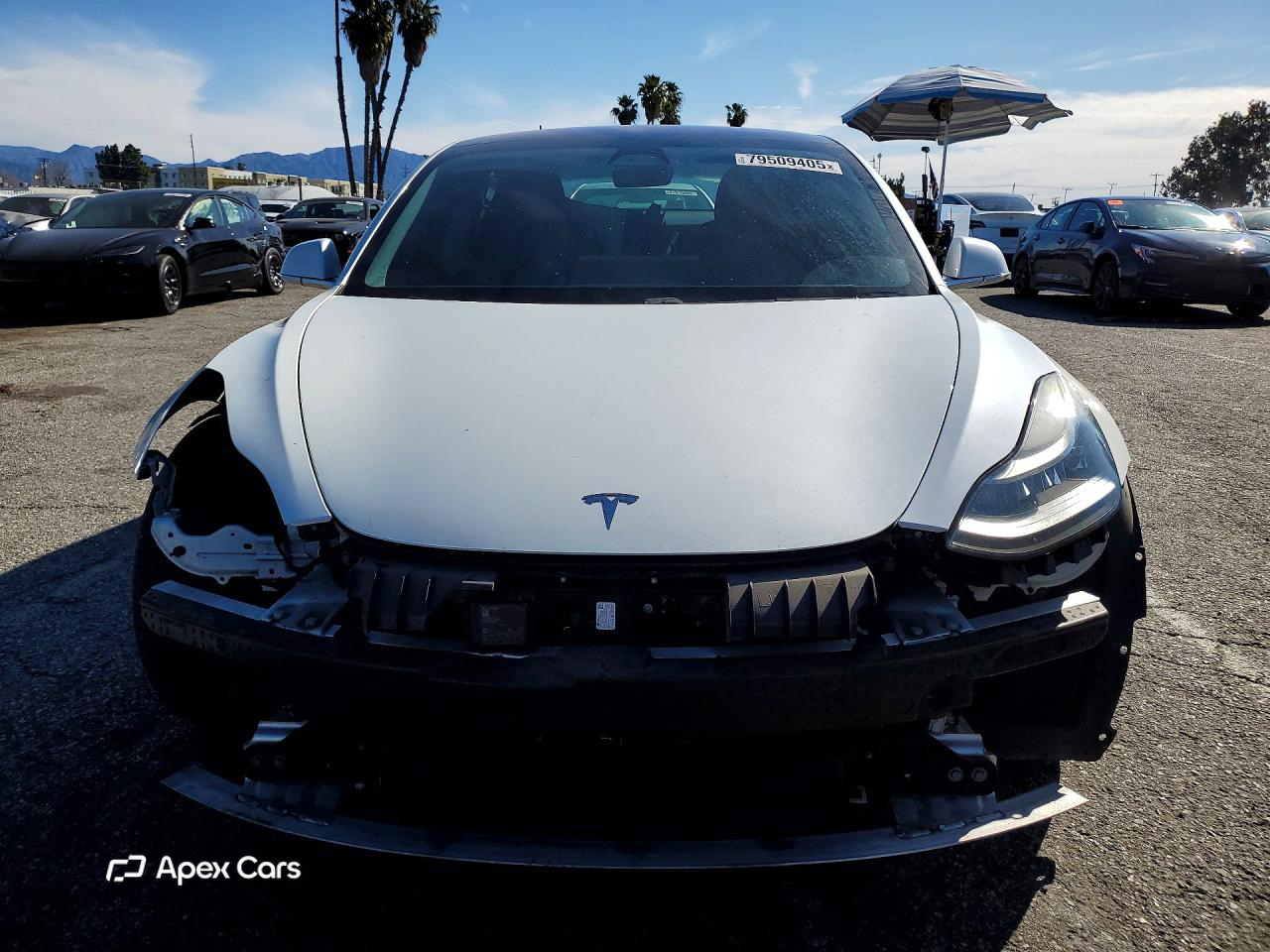 Tesla Model 3 2018