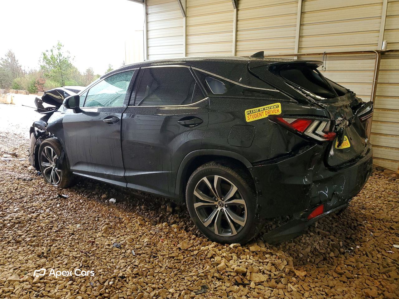 Lexus RX 2022