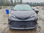 Toyota Sienna 2023
