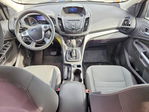 Ford Escape 2013
