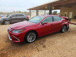 Lexus ES 2024