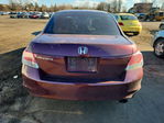 Honda Accord 2010