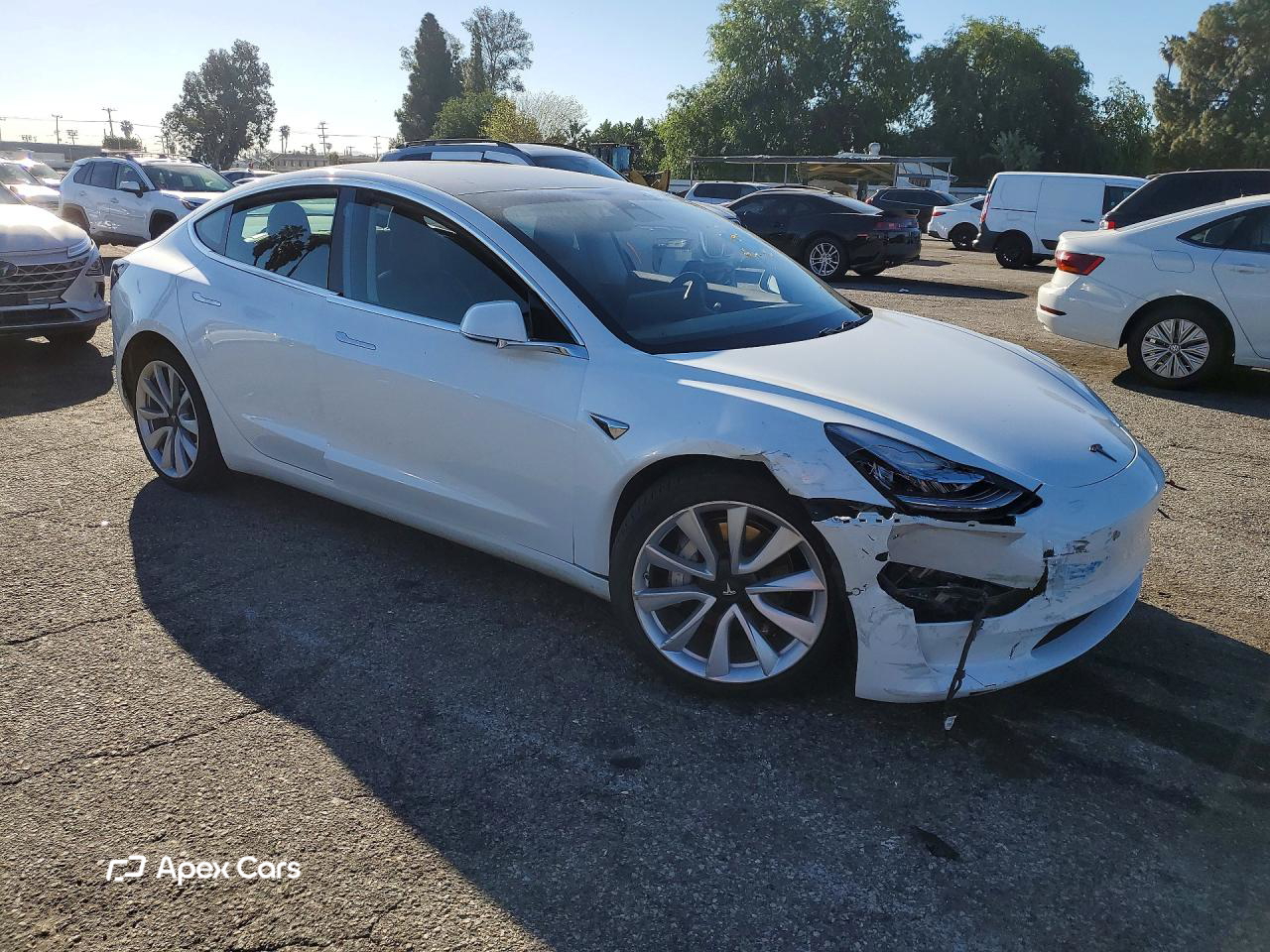 Tesla Model 3 2019