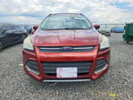 Ford Escape 2014