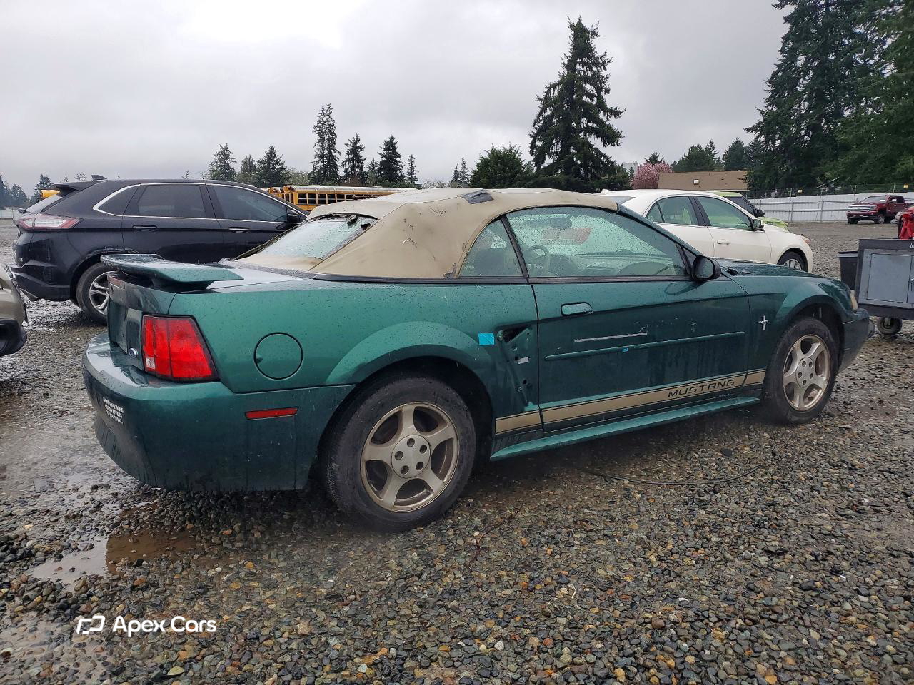 Ford Mustang 2002