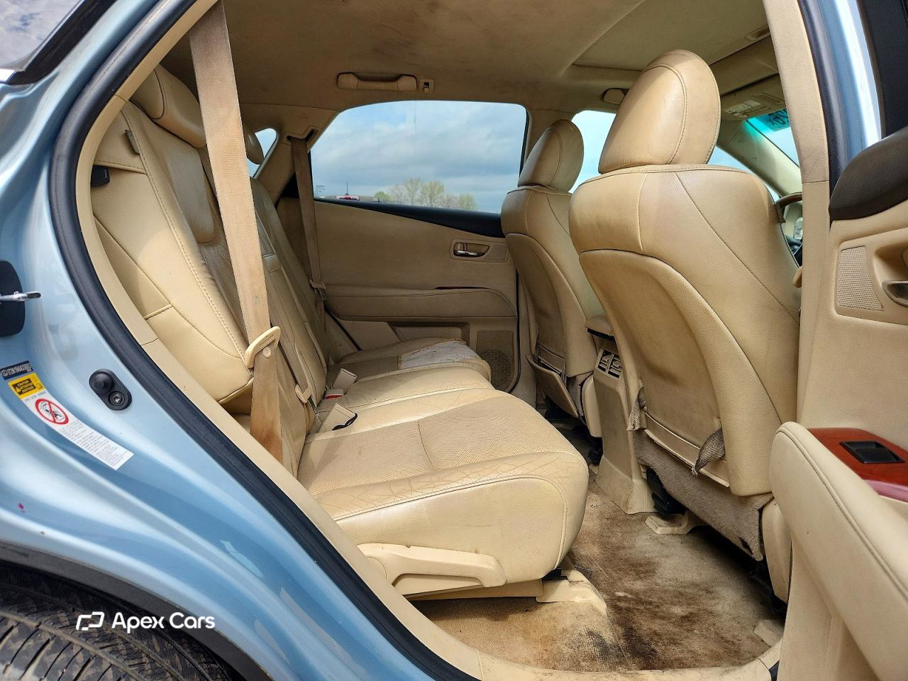 Lexus RX 2010