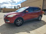 Ford Escape 2015