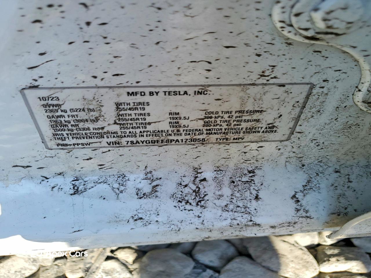 Tesla Model Y 2023