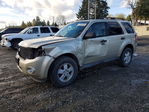 Ford Escape 2010