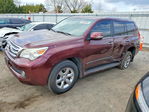 Lexus GX 2013