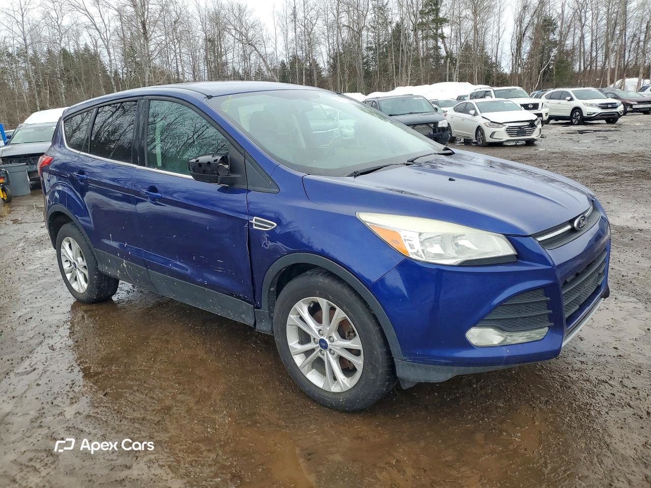 Ford Escape 2014