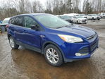 Ford Escape 2014