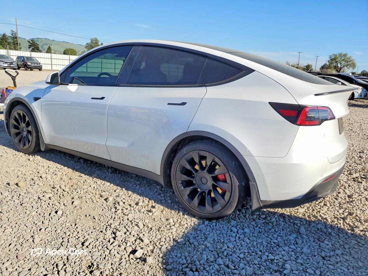 Tesla Model Y 2021