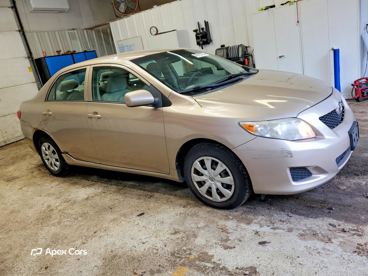 Toyota Corolla 2010